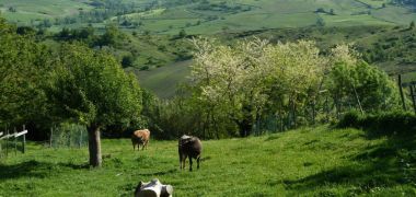 Agriturismo sulla via del Sale alta collina di Godiasco Salice Terme  