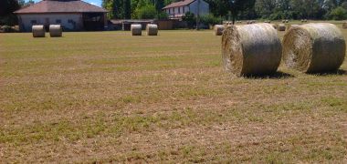 Caratteristica cascina d'epoca a corte rettangolare e tanto altro 