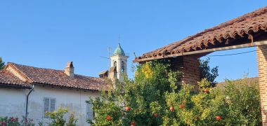 Abitazione rurale  con rustici e giardino da ristrutturare 