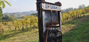 Torricella Verzate (PV) Antica casa colonica con vigneto 