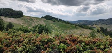 Co-housing famigliare sulle colline piacentine e altro 