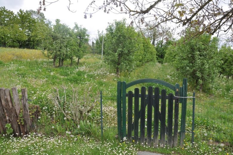 Momperone (AL)  Alta val Curone casa in sasso soleggiata 