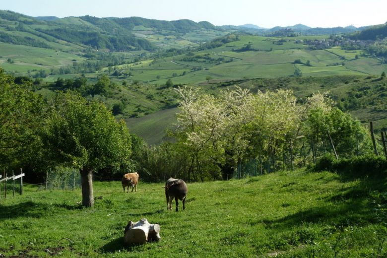 Agriturismo sulla via del Sale alta collina di Godiasco Salice Terme  