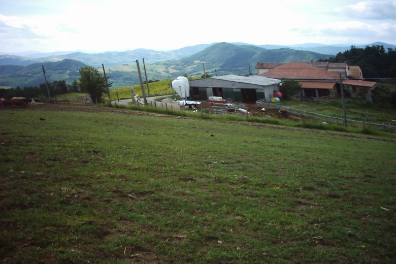 Azienda agricola biologica in altura panoramica 