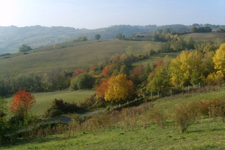 Azienda agricola biologica in altura panoramica 