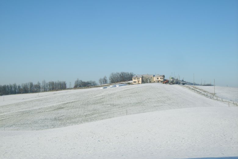 Panoramic Organic Farm on high ground 