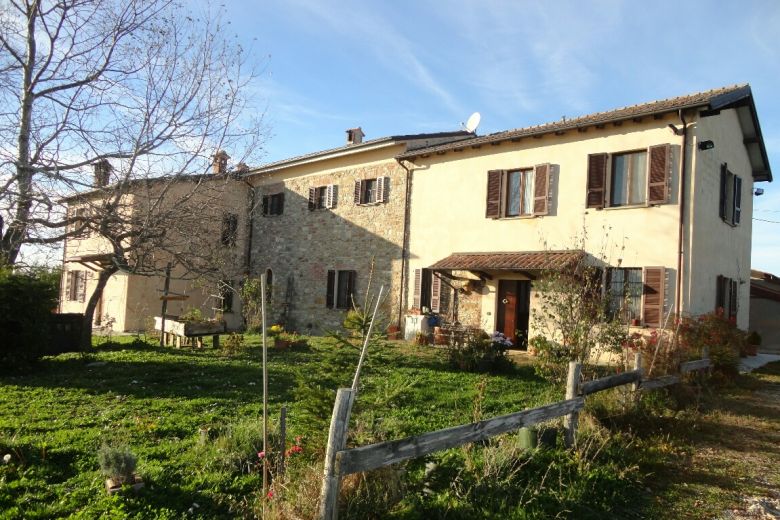 Panoramic Organic Farm on high ground 