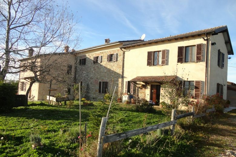 Azienda agricola biologica in altura panoramica 