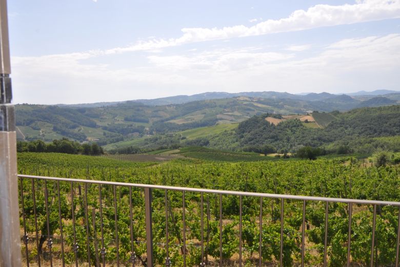 Farm with dining facility, vineyards, wildlife area