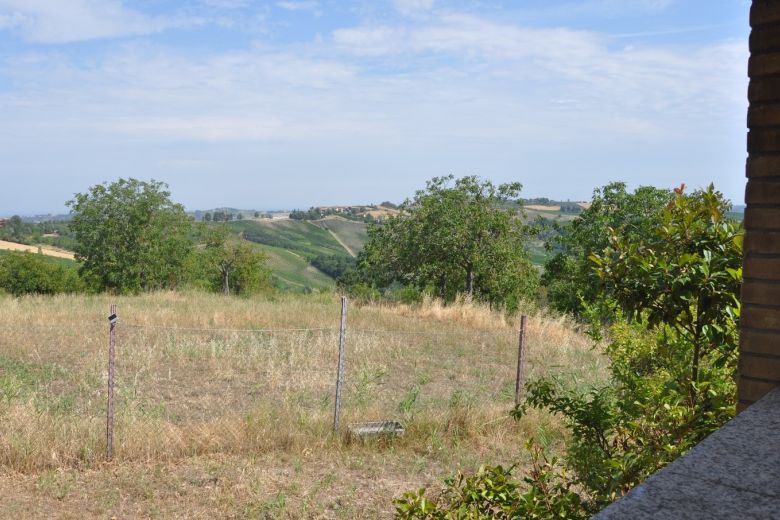 Podere agricolo con struttura ristorativa, vigneti , zona faunistica