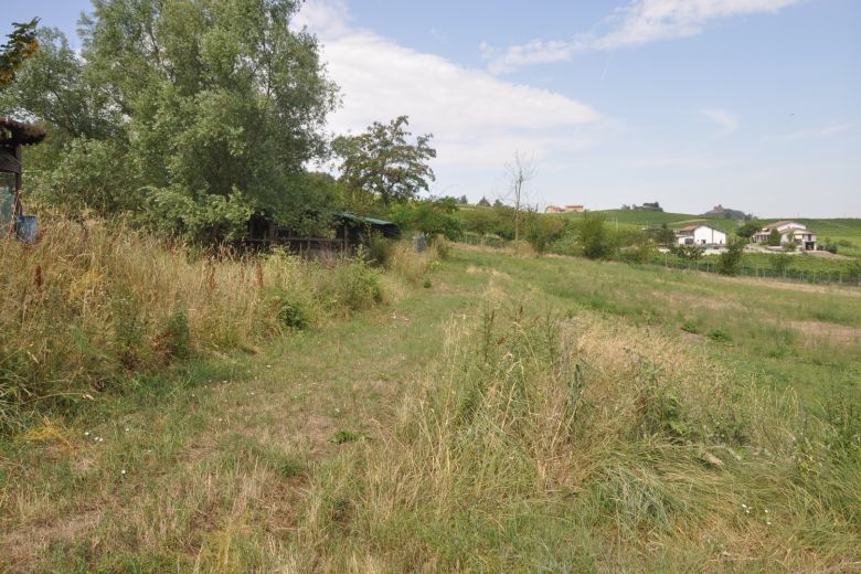 Farm with dining facility, vineyards, wildlife area