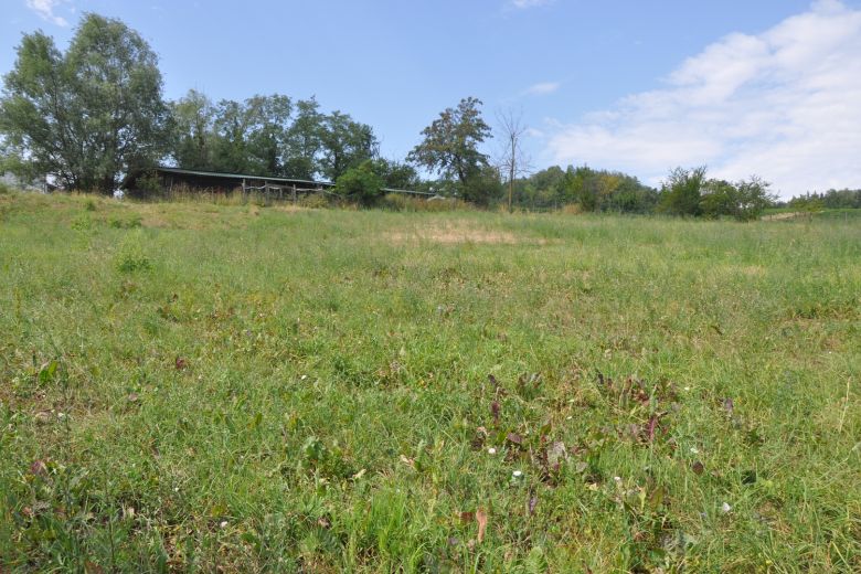 Farm with dining facility, vineyards, wildlife area