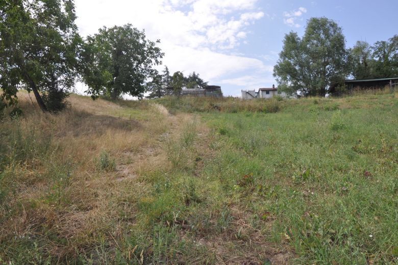 Farm with dining facility, vineyards, wildlife area