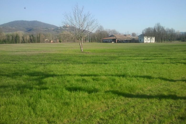 Characteristic period farmhouse with a rectangular courtyard and much more 