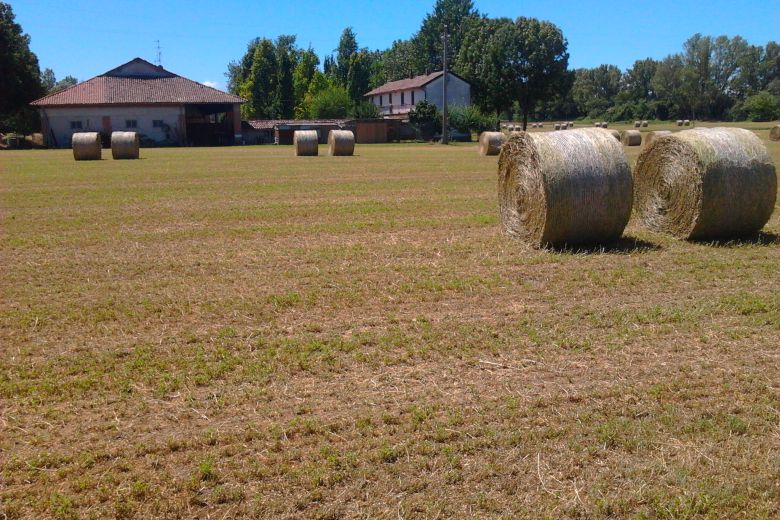 Caratteristica cascina d'epoca a corte rettangolare e tanto altro 