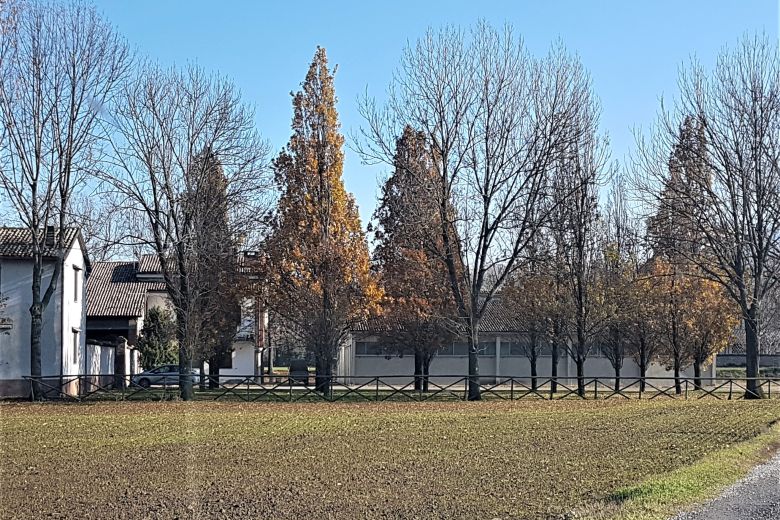 Characteristic period farmhouse with a rectangular courtyard and much more 