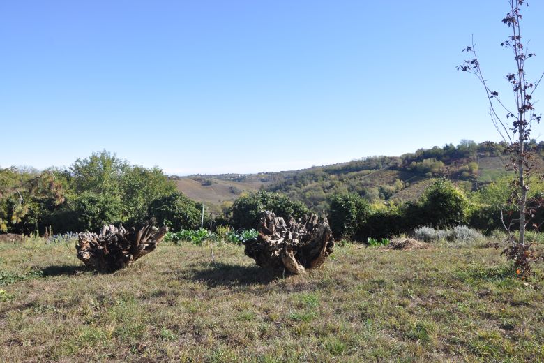 Storica dimora sulle colline dell'Oltrepò Pavese 