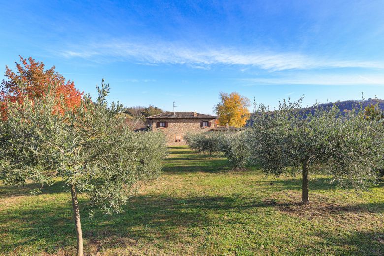 Un angolo di Toscana sulle colline piacentine 