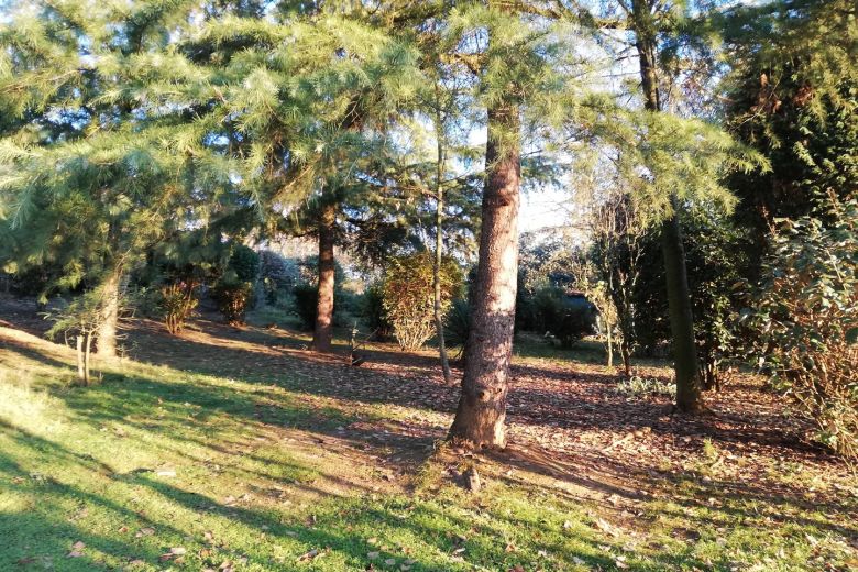 Una residenza di campagna che ci ama sulle colline del Monferrato 