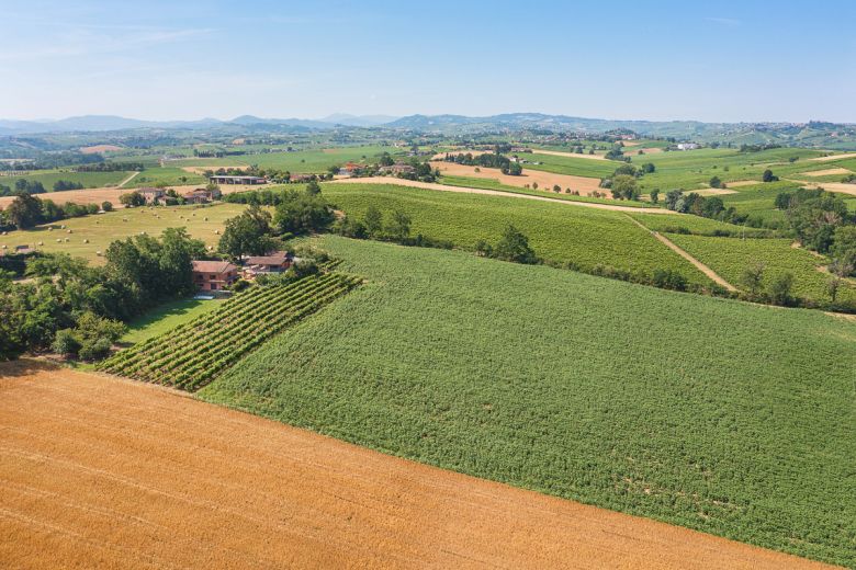 Podere con residenza privata in posizione collinare 