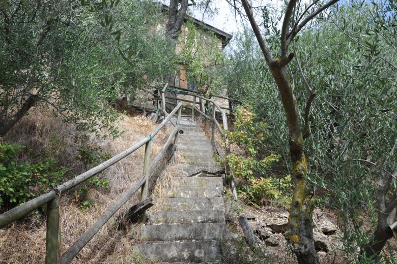 La casa degli Ulivi sulle colline piacentine 