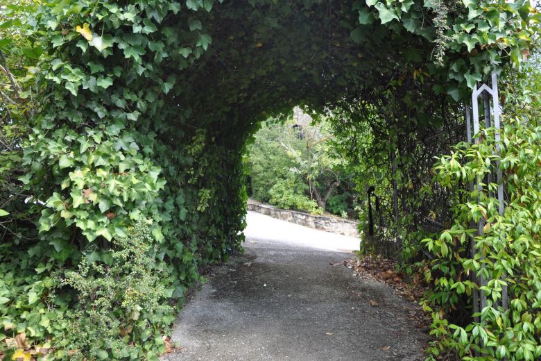 La casa degli Ulivi sulle colline piacentine 