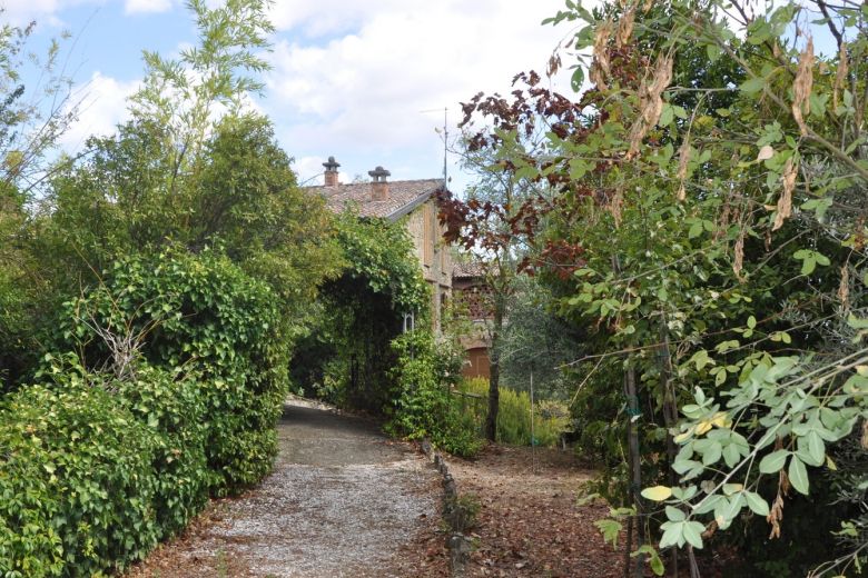 La casa degli Ulivi sulle colline piacentine 