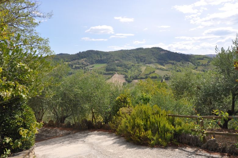 La casa degli Ulivi sulle colline piacentine 