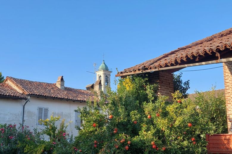 Abitazione rurale  con rustici e giardino da ristrutturare 