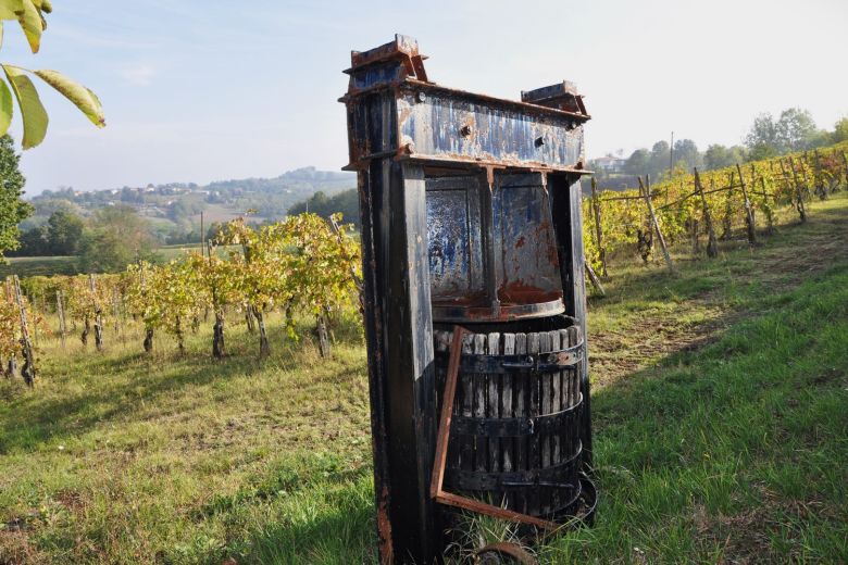 Torricella Verzate (PV) Antica casa colonica con vigneto 