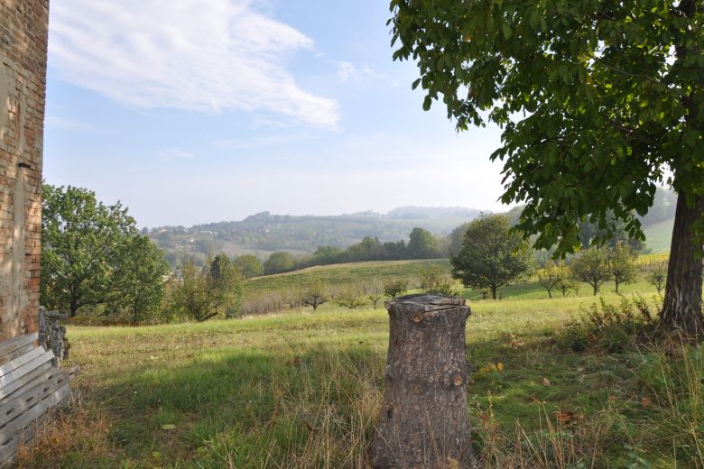 Torricella Verzate (PV) Antica casa colonica con vigneto 