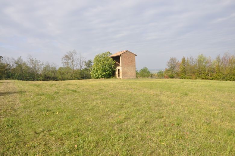 Torricella Verzate (PV) Antica casa colonica con vigneto 