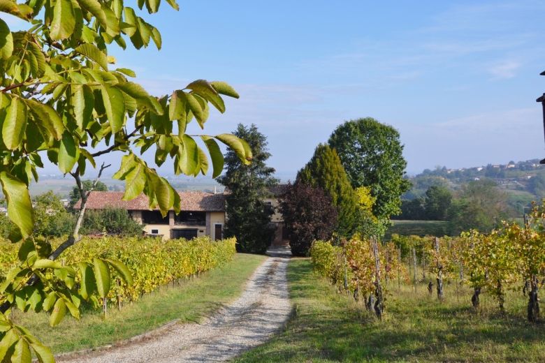 Torricella Verzate (PV) Antica casa colonica con vigneto 