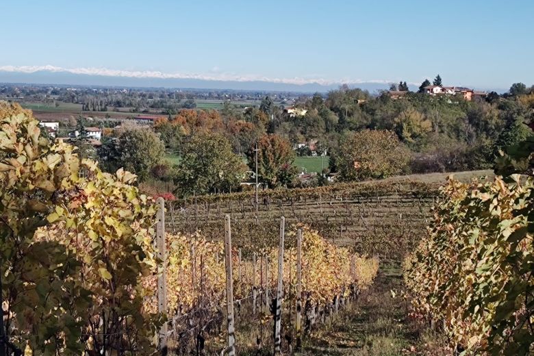 Torricella Verzate (PV) Antica casa colonica con vigneto 