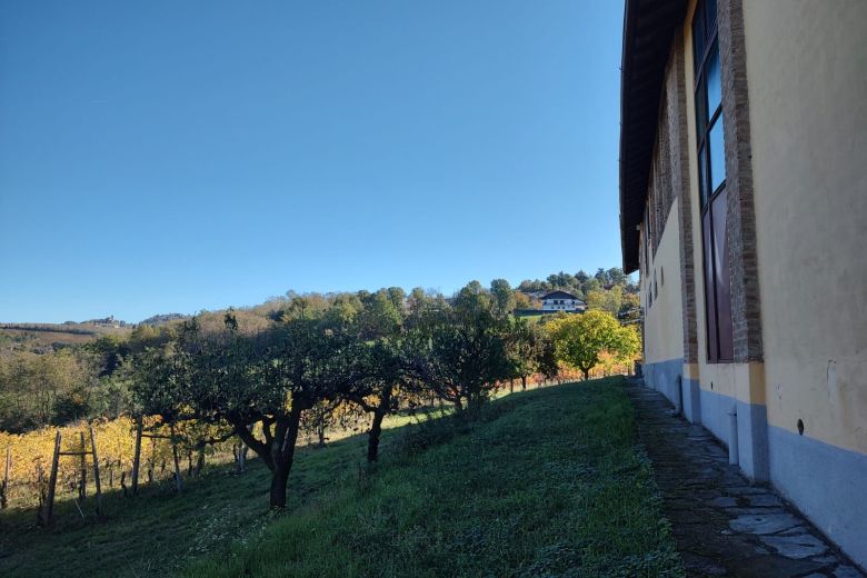 Torricella Verzate (PV) Antica casa colonica con vigneto 