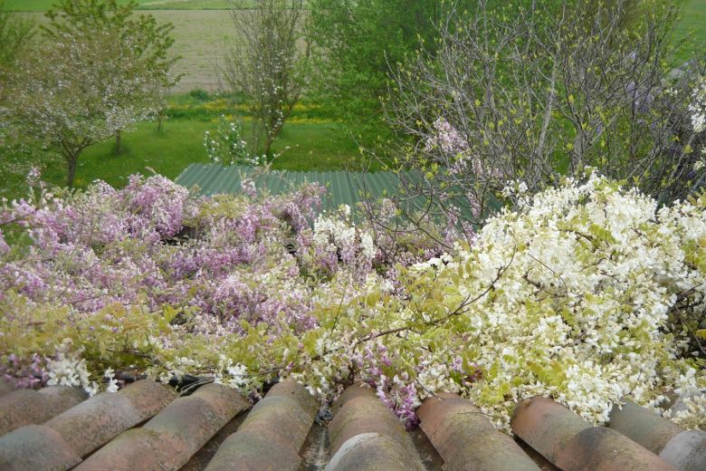 Soragna,Parma -  Casa in bioedilizia nella campagna parmense 