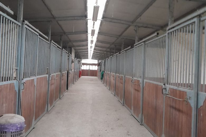 Agricultural farm of 20HA approx. with Riding Stables and B&B 