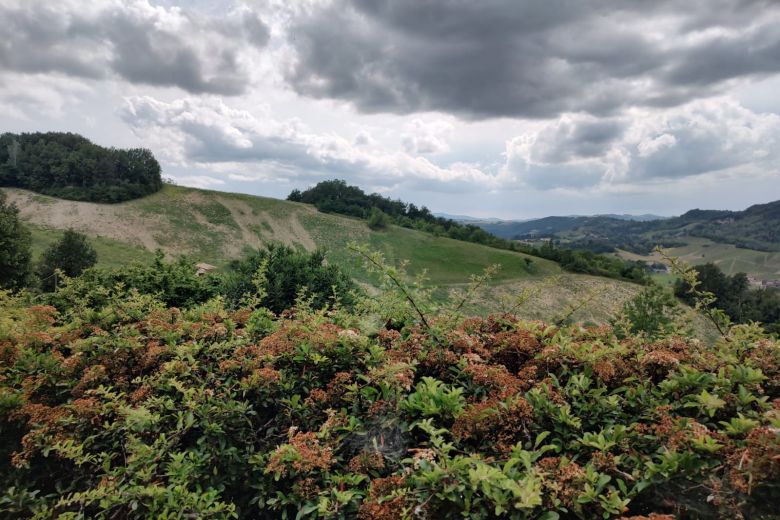 Co-housing famigliare sulle colline piacentine e altro 