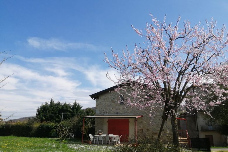 Vigoleno - Podere in sasso sulle colline piacentine - 37000mq 