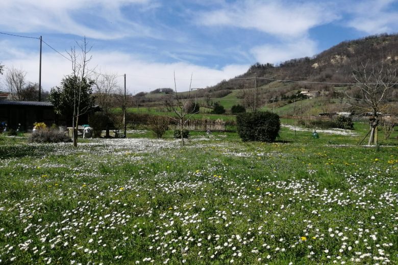 Vigoleno - Podere in sasso sulle colline piacentine - 37000mq 