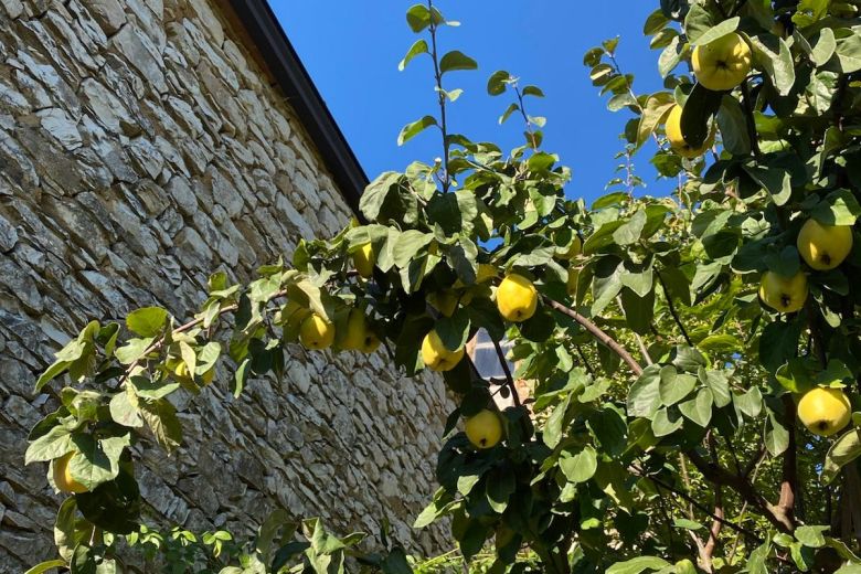 Passione Montagna Colline Piacentine Val Nure 
