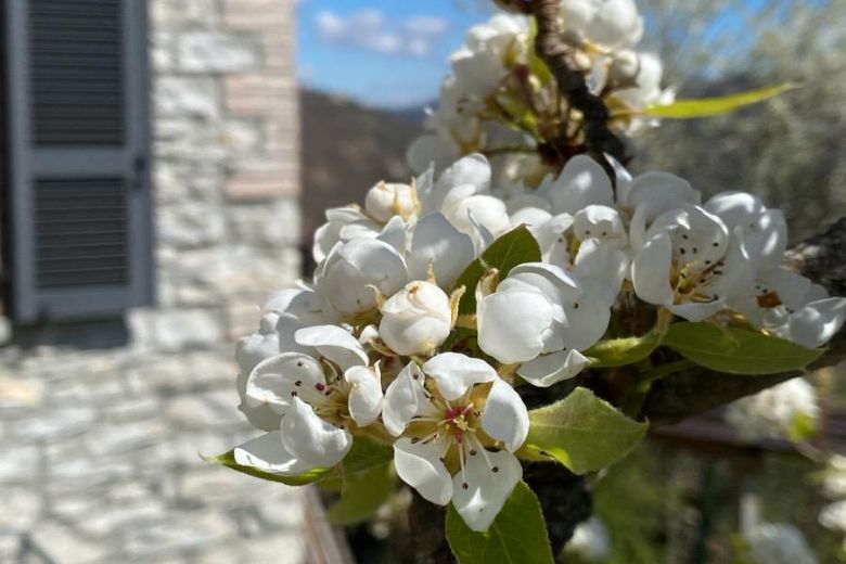 Passione Montagna Colline Piacentine Val Nure 
