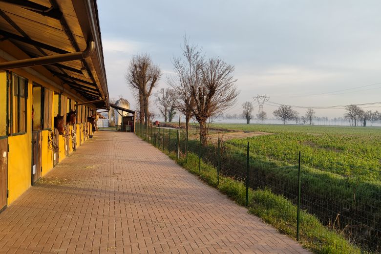 Equestrian Center in the Lodi countryside - 55 Km from Milan