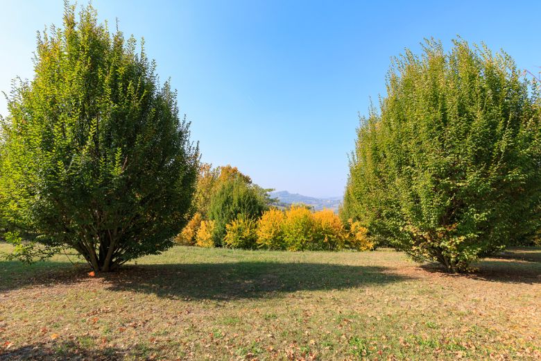 A Country House on the Hills of Oltrepò Pavese - Prà del Gatto Village