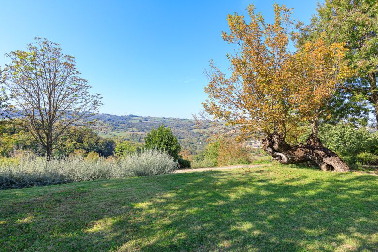 Colline Piacentine Podere con casa in sasso d'epoca Colline Piacentine Podere con casa in sasso d'epoca