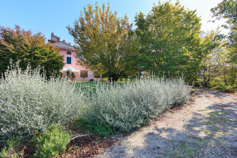 Gropparello(PC) - Casa in sasso panoramica+ 60.000mq di terreno 