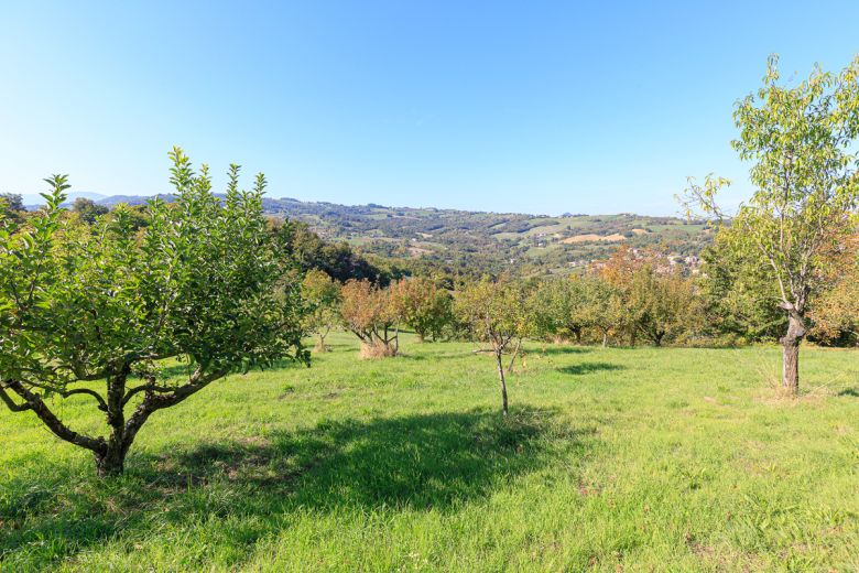 Colline Piacentine Podere con casa in sasso d'epoca Colline Piacentine Podere con casa in sasso d'epoca