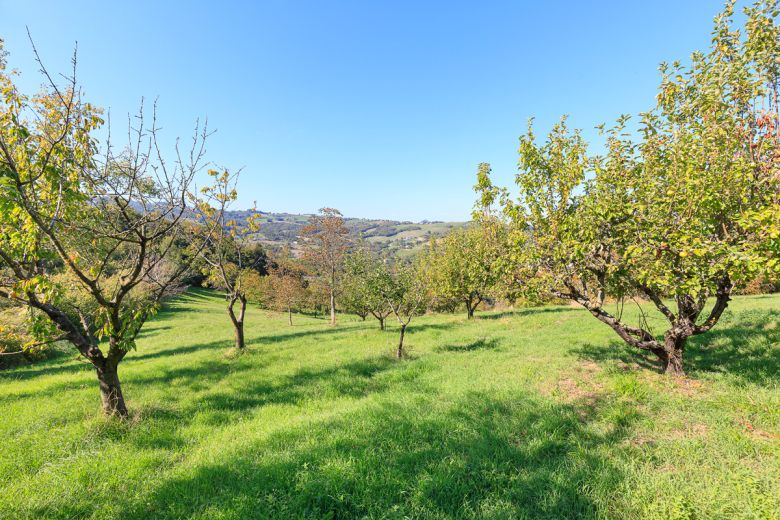 Gropparello(PC) - Casa in sasso panoramica+ 60.000mq di terreno 