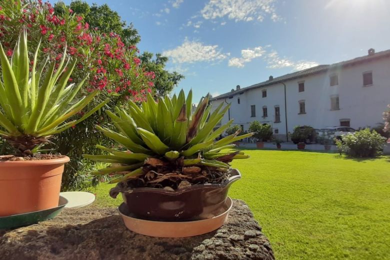 Campagna Piacenza - Complesso edilizio storico da riqualificare Campagna Piacenza - Complesso edilizio storico da riqualificare