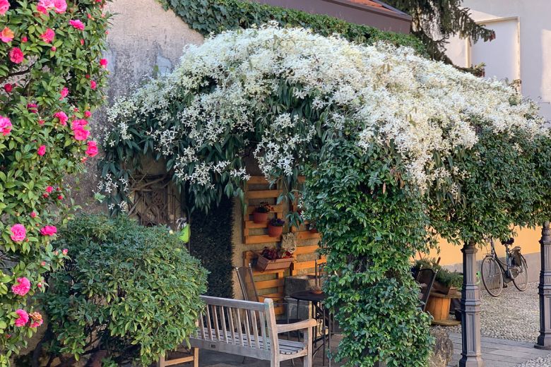 Milano Sud Ovest  -  Casa di pregio con giardino esclusivo